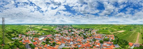 Luftbild Dalsheim im Wonnegau photo