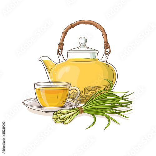 lemongrass  tea illustration