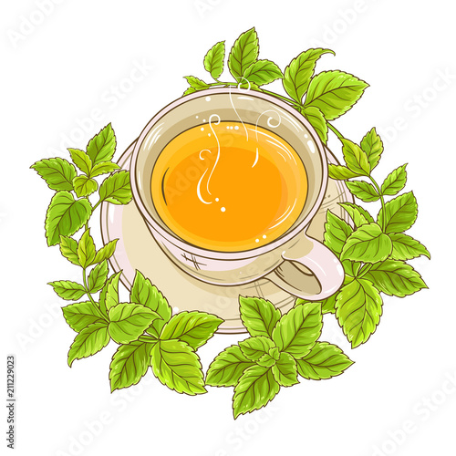 melissa tea illustration