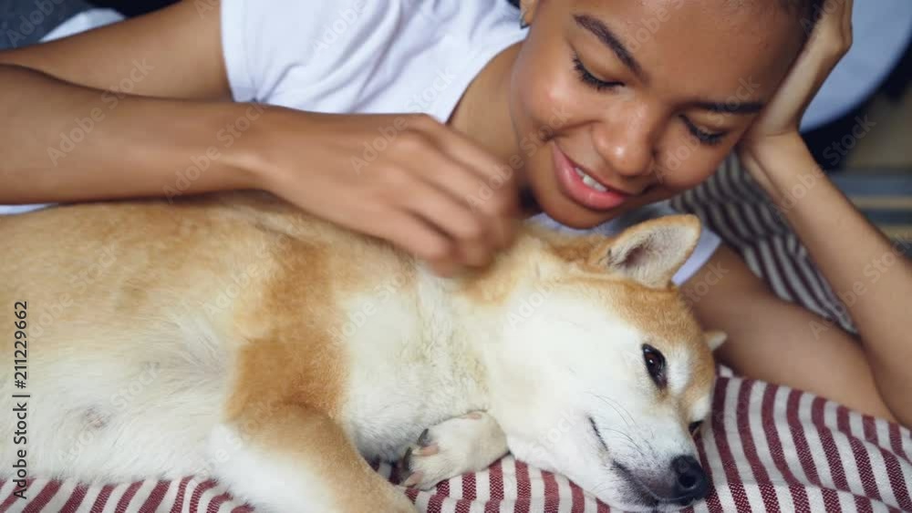 Close-up shot of loving dog owner caressing lovely pet lying on bed together, girl is stroking animal and scratching its fur expressing love and tenderness. Close-up shot of loving dog owner caressing lovely pet lying on bed together, girl is stroking animal and scratching its fur expressing love and tenderness.