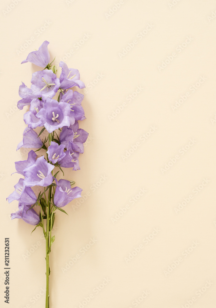 Flowers violet bells on paper, postcard