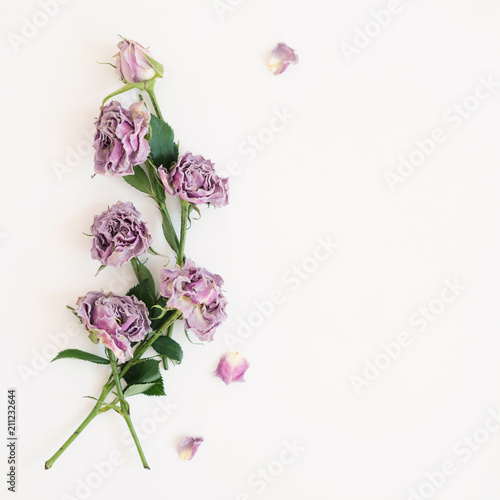 Flowers of dried roses lie on a white background