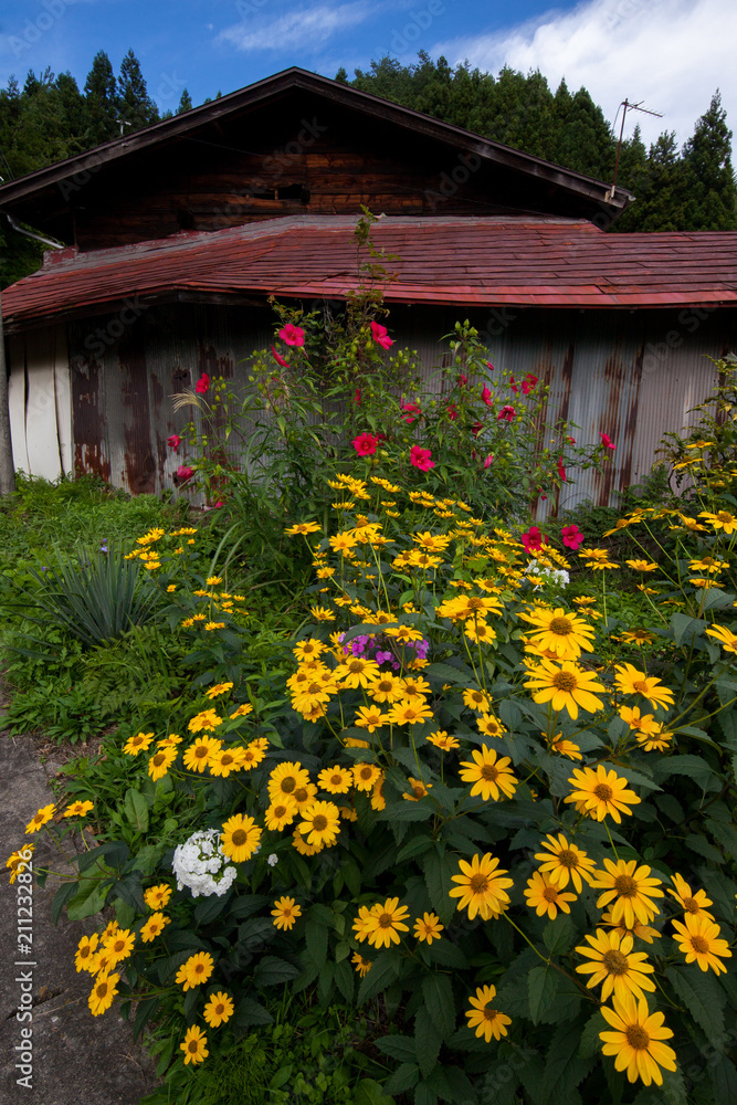 道端の花 Stock Photo Adobe Stock 道端の花 Stock Photo Adobe Stock