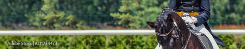 Dressage horse and rider. Black horse portrait during equestrian sport competition. Advanced dressage test. Copy space for your text. Horizontal photo banner for website header design.