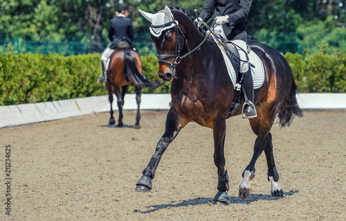 Dressage horse and rider. Sorrel horse portrait during equestrian sport competition. Advanced dressage test. Copy space for your text. © taylon