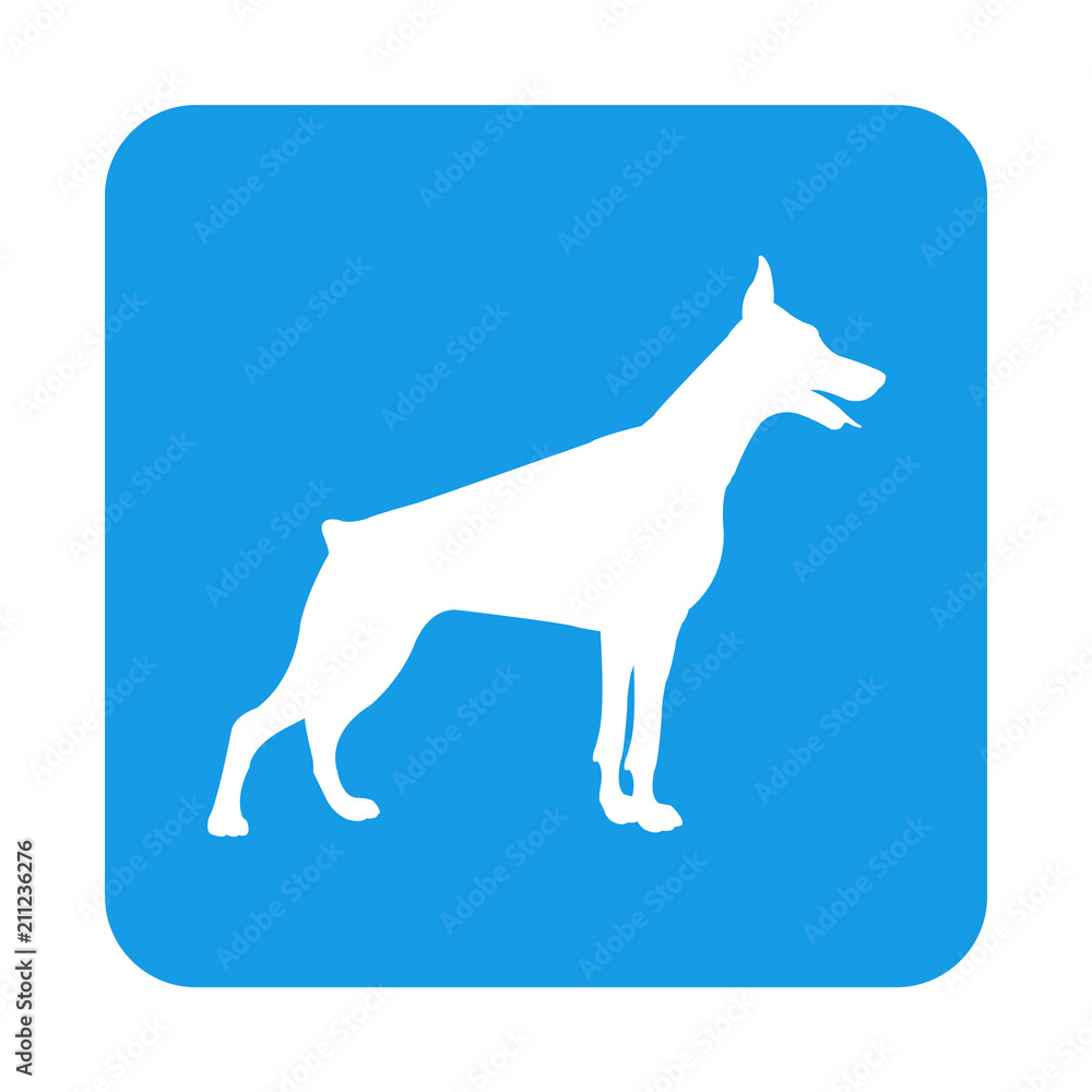 Icono plano silueta perro Doberman en cuadrado azul