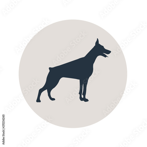 Icono plano silueta perro Doberman en circulo gris