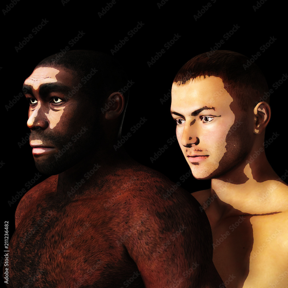 Digital 3D Illustration of a Homo Erectus StockIllustration Adobe Stock