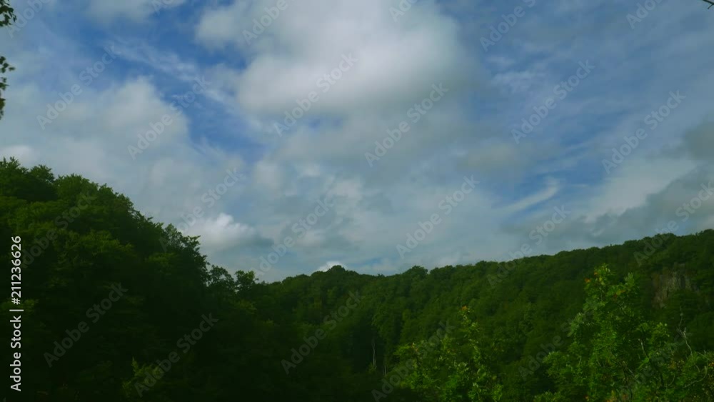 Time lapse over Forest with fast clouds Time lapse over Forest with fast clouds