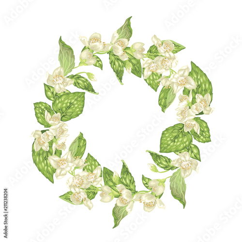 Blooming wreath with jasmine flowers in graphic vector realistic illustration