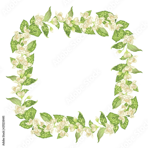 Blooming and blossom frame square wreath with jasmine flowers