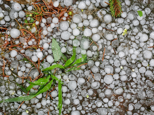 Photography Hail on the ground after hailstorm