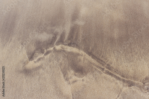 Wet sand background