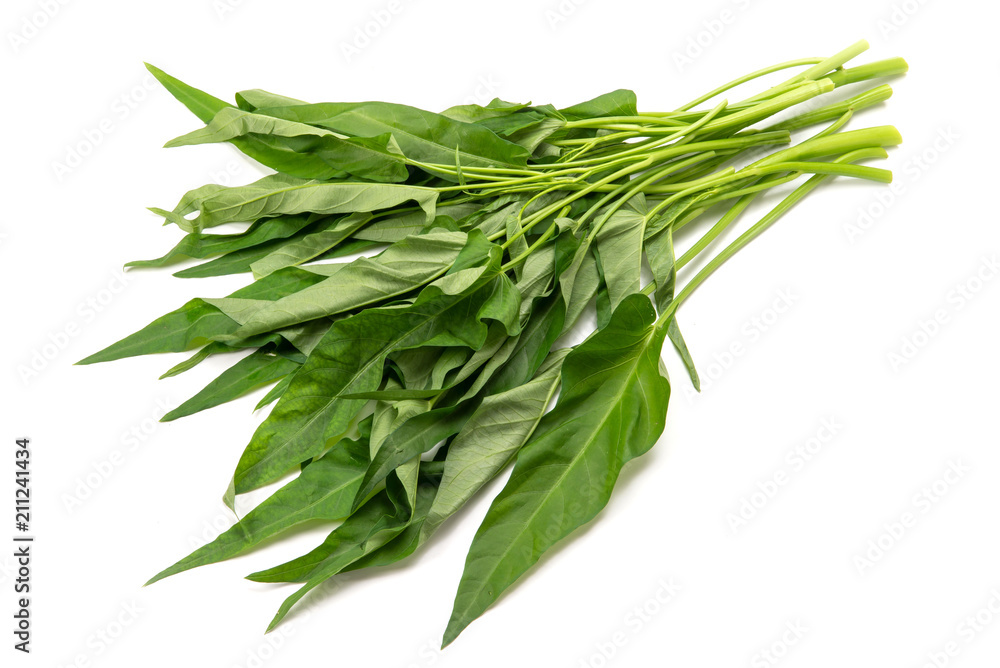 Fototapeta premium 空芯菜