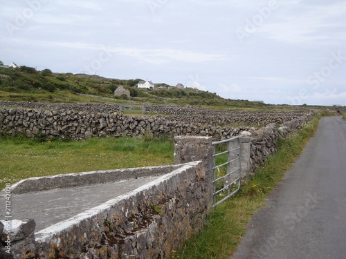 Fototapeta Naklejka Na Ścianę i Meble -  Gate and stone walls along a rural country road in Ireland
