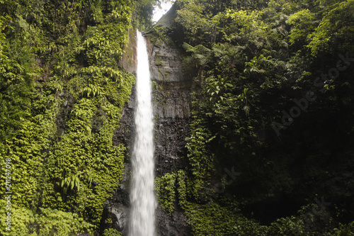Waterfall panorama in tropical forest  Jepara City  Central Java Province  Indonesia