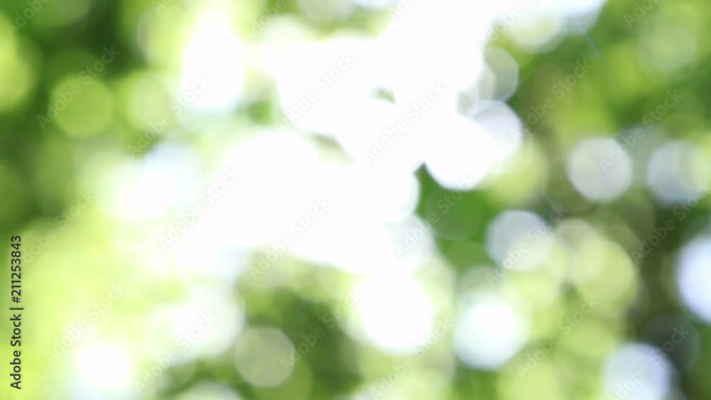 Defocused bokeh lights and lens flare, abstract light background.
Defocused bokeh lights and lens flare, abstract light background.