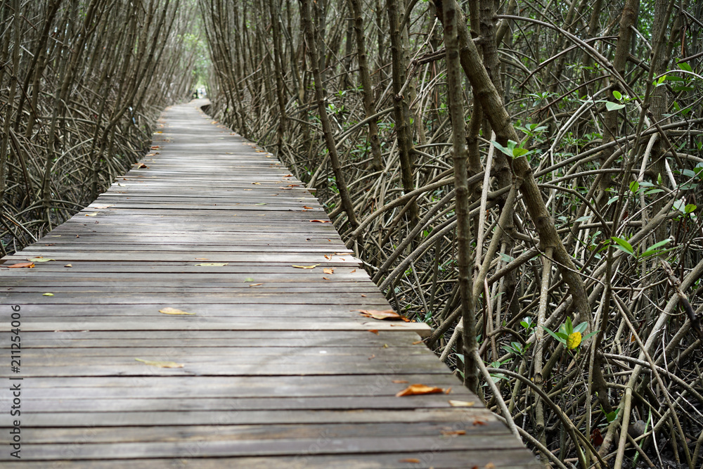 Wood bridge in mangrove forest Thailand Wood bridge in mangrove forest Thailand