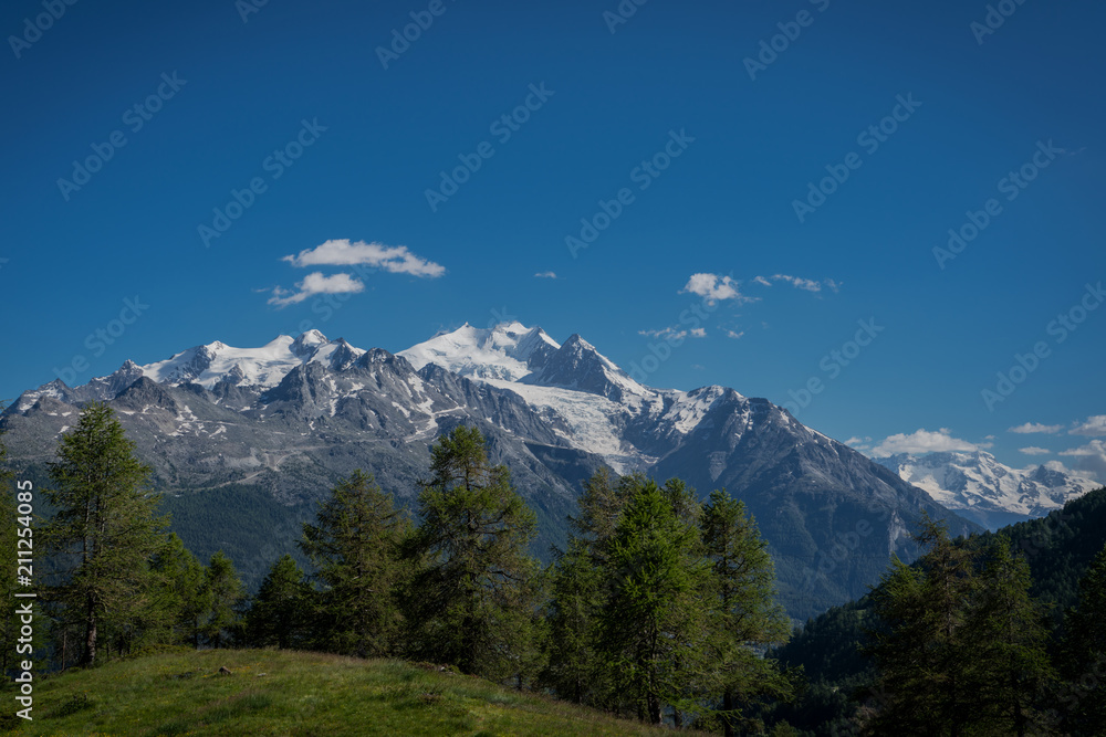 Fototapeta premium Ried Gletscher in Mitten das Wallis Natur pur auf der Alpe