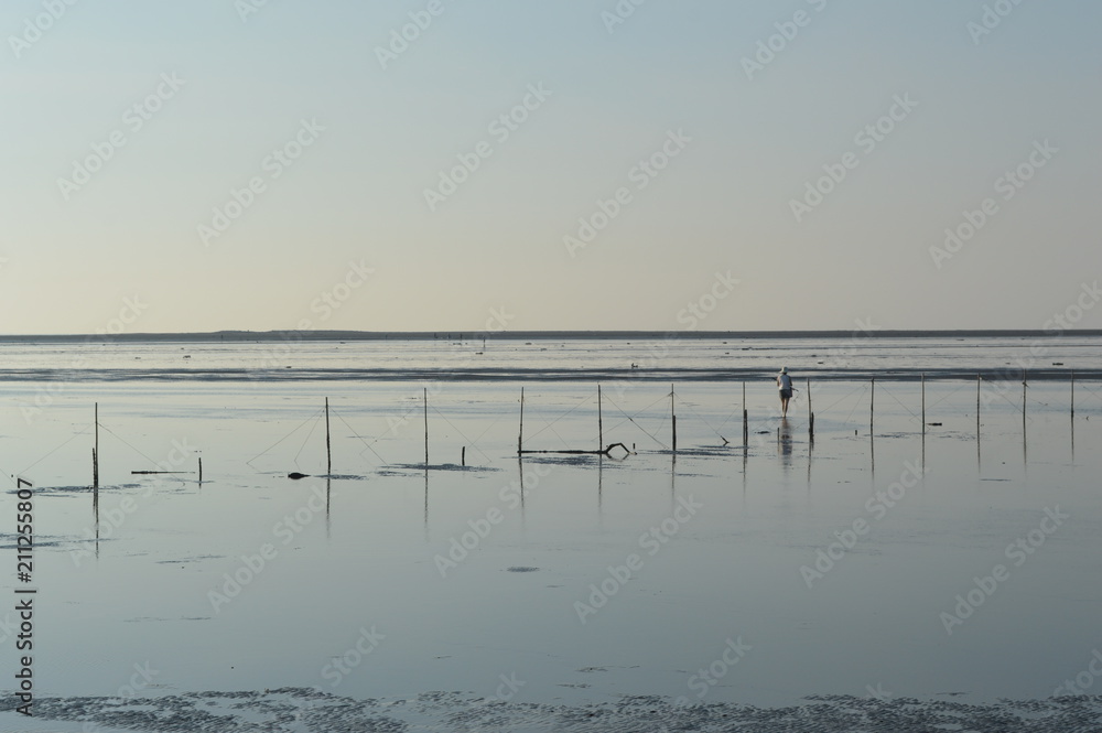 高美湿地