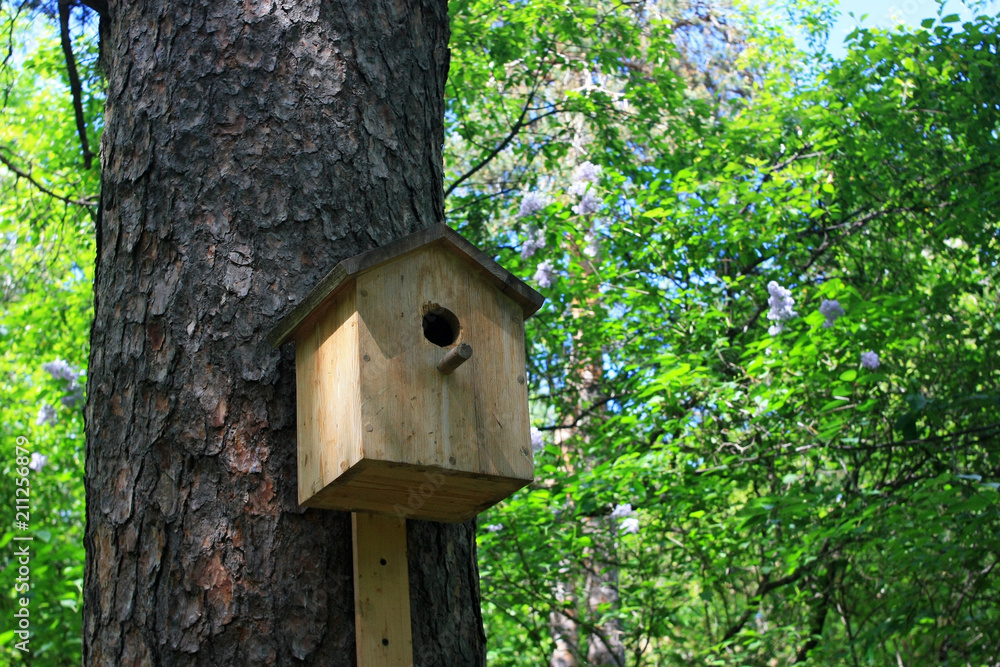 A birdhouse in the forest