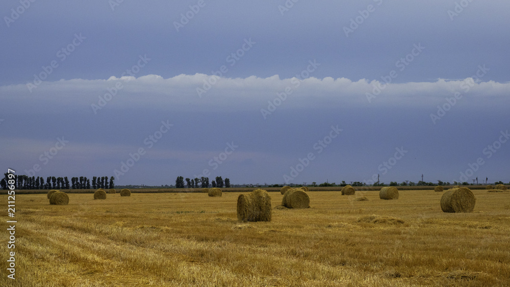 landscape with clouds