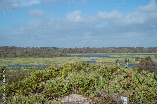 Obraz na plátne The Guana River Wildlife Management Area is part of the Guana Tolomato Matanzas National Estuarine Research Reserve