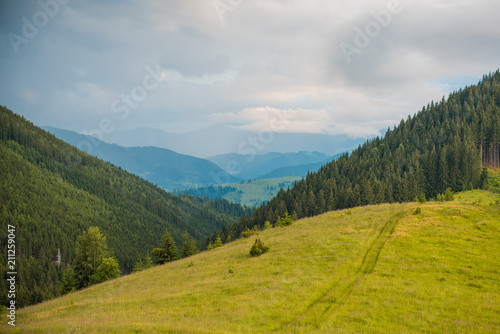 Nice mountains view at sunny day with under blue sky with sunlight at warm time. Carpathian mountains summer sunset landscape with sun and alpine pines  © T.Den_Team