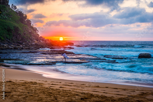 Photography Heading out into the surf at sunrise