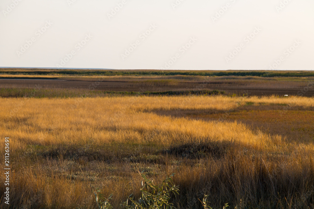 View on the Sivash lake, Ukraine