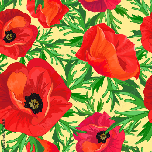 Fototapeta Naklejka Na Ścianę i Meble -  Red poppies, green leaves
