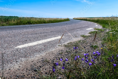 A curvy small road in the S...