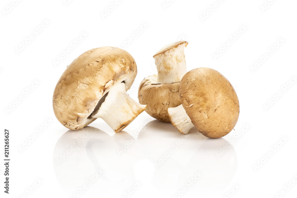 Three fresh raw brown champignons isolated on white background. Three fresh raw brown champignons isolated on white background.