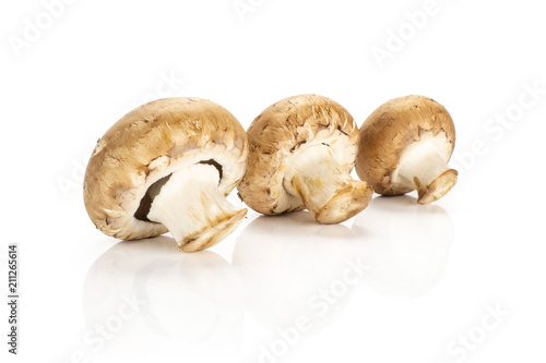 Three fresh brown champignons in row isolated on white background raw mushrooms.
