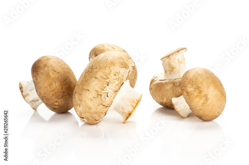 Five fresh brown champignons isolated on white background raw mushrooms.
