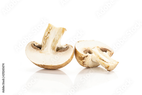 Two brown champignon halves isolated on white background fresh raw mushroom cross section.