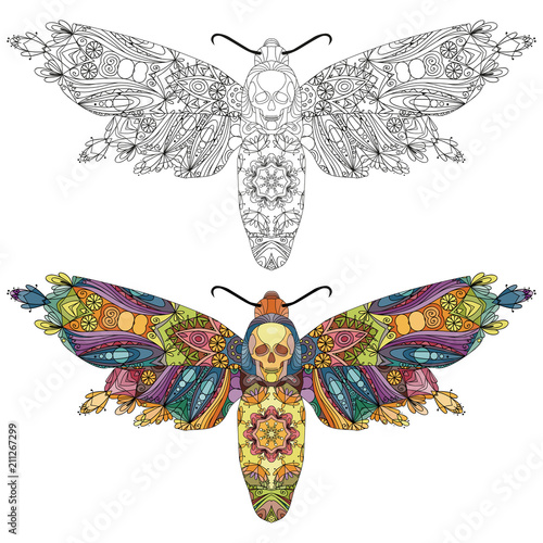 Zentangle stylized butterfly. Hand Drawn lace vector illustration