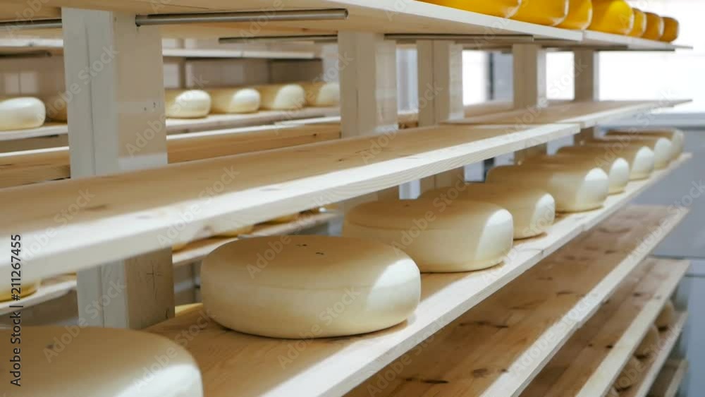 View to the cheese-wheels of parmesan maturing on the shelves at the cheese factory View to the cheese-wheels of parmesan maturing on the shelves at the cheese factory