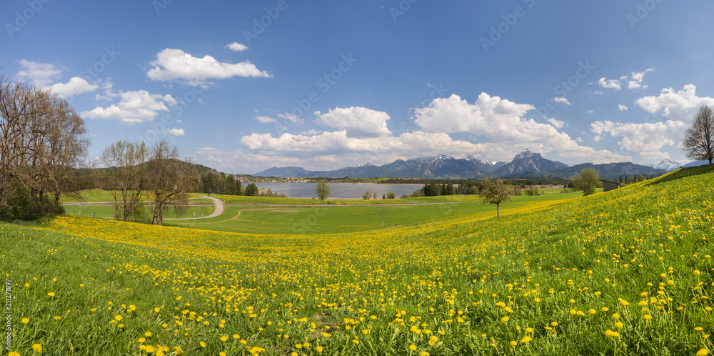 Panorama Landschaft im Allgäu in Bayern am Forggensee