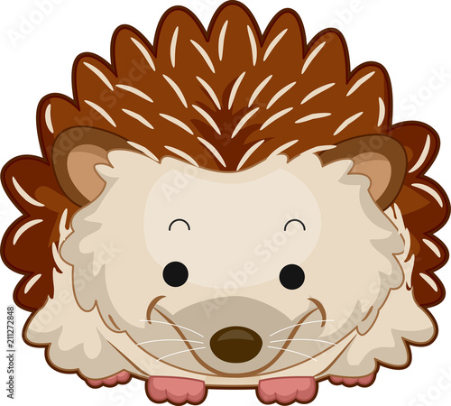 Hedgehog Illustration