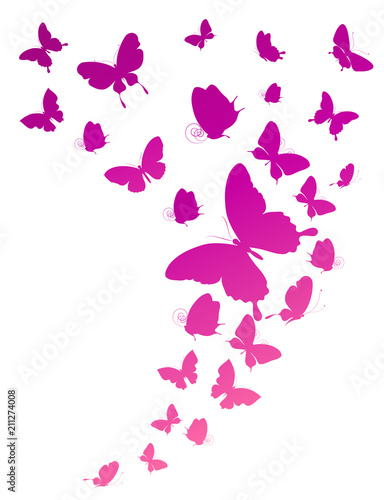 beautiful pink butterflies  isolated  on a white