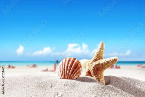 summer decoration of shell and free space for your decoration. 