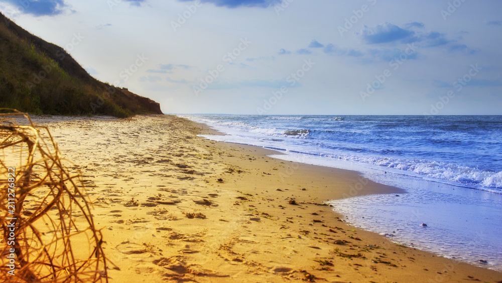 yellow sand beach near the blue beautiful sea