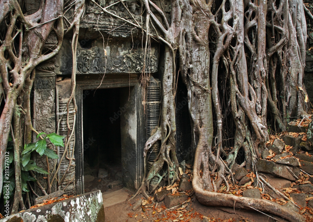 Obraz premium Ta Prohm temple at Angkor. Siem Reap province. Cambodia