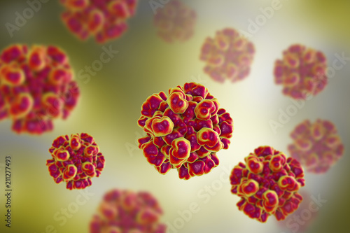 Fotografie Hepatitis E viruses, 3D illustration, non-enveloped RNA viruses with fecal-oral
