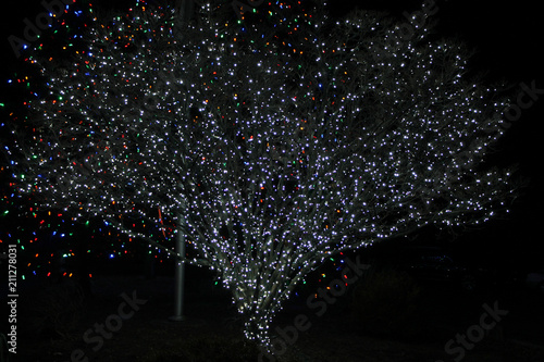 A tree wrapped in festive lights during  the Holiday Light spectactular at the Lehigh Vally zoo in Trezlertown, Pennsylvania photo