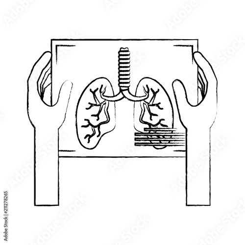 hands holding a Lungs xray icon over white background, vector illustration