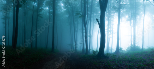 Plakat północ las jesień mężczyzna ścieżka