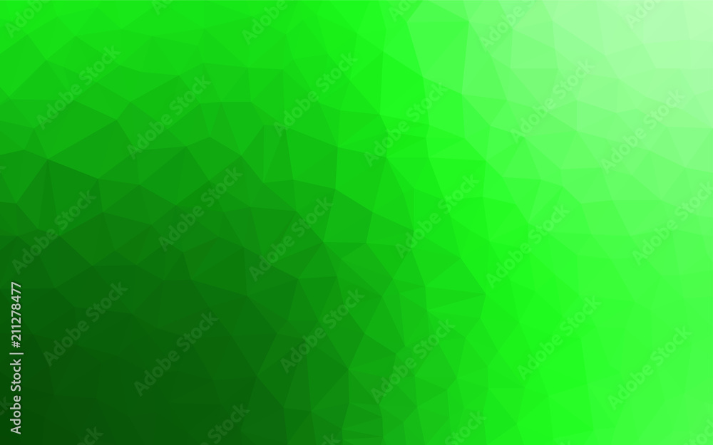 Light Green vector polygon abstract backdrop. Light Green vector polygon abstract backdrop.
