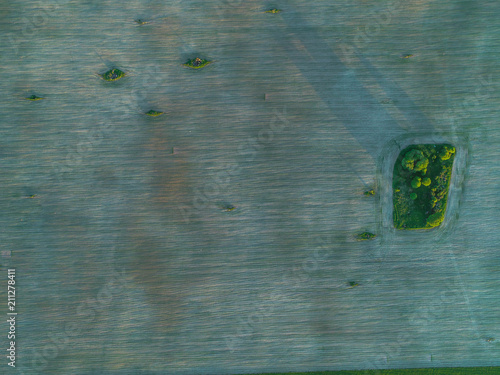 beautiful geometry of fields green and brown photo from height